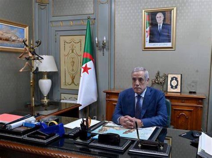 Nadir Larbaoui Wikipedia And Age | How Old Is Algeria Prime Minister